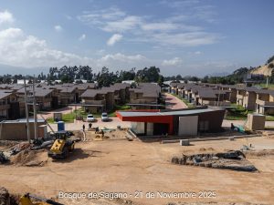 Avance 21 de noviembre 2025 - Bosque de Sagano
