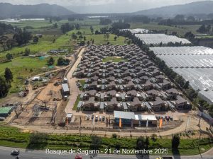 Avance 21 de noviembre 2025 - Bosque de Sagano