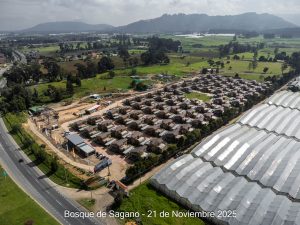 Avance 21 de noviembre 2025 - Bosque de Sagano