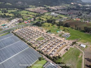 Avance 21 de noviembre 2025 - Bosque de Sagano