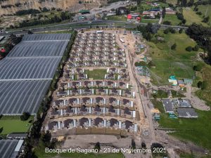 Avance 21 de noviembre 2025 - Bosque de Sagano