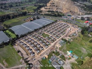 Avance 21 de noviembre 2025 - Bosque de Sagano