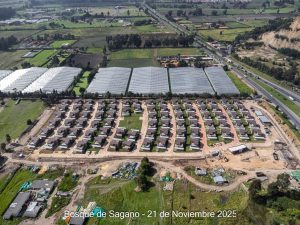 Avance 21 de noviembre 2025 - Bosque de Sagano