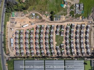 Avance 21 de noviembre 2025 - Bosque de Sagano