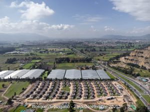 Avance 21 de noviembre 2025 - Bosque de Sagano