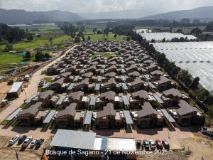 Avance 21 de noviembre 2025 - Bosque de Sagano