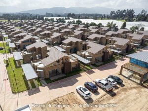 Avance 21 de noviembre 2025 - Bosque de Sagano