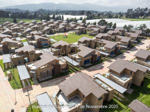 Avance 21 de noviembre 2025 - Bosque de Sagano