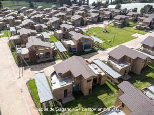 Avance 21 de noviembre 2025 - Bosque de Sagano