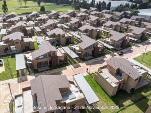 Avance 21 de noviembre 2025 - Bosque de Sagano