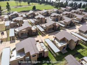 Avance 21 de noviembre 2025 - Bosque de Sagano