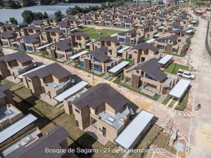 Avance 21 de noviembre 2025 - Bosque de Sagano