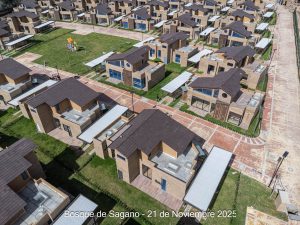 Avance 21 de noviembre 2025 - Bosque de Sagano