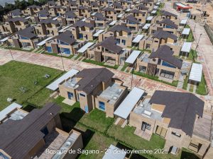 Avance 21 de noviembre 2025 - Bosque de Sagano