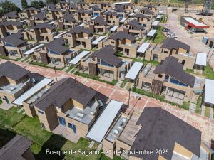 Avance 21 de noviembre 2025 - Bosque de Sagano