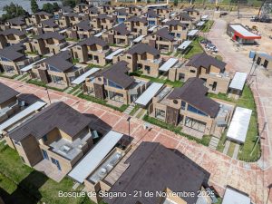 Avance 21 de noviembre 2025 - Bosque de Sagano