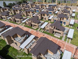 Avance 21 de noviembre 2025 - Bosque de Sagano