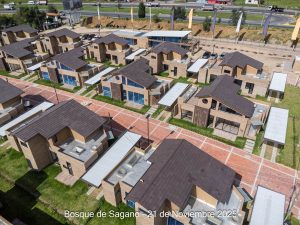 Avance 21 de noviembre 2025 - Bosque de Sagano