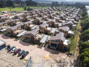 Avance 21 de noviembre 2025 - Bosque de Sagano