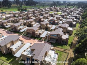 Avance 21 de noviembre 2025 - Bosque de Sagano