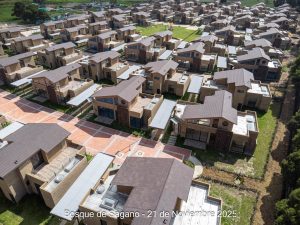 Avance 21 de noviembre 2025 - Bosque de Sagano