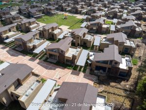 Avance 21 de noviembre 2025 - Bosque de Sagano