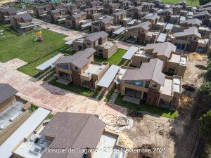 Avance 21 de noviembre 2025 - Bosque de Sagano