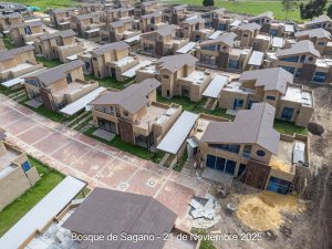 Avance 21 de noviembre 2025 - Bosque de Sagano