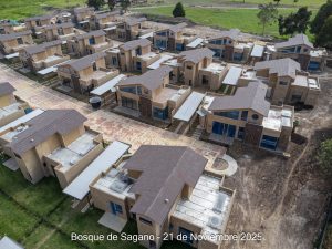 Avance 21 de noviembre 2025 - Bosque de Sagano