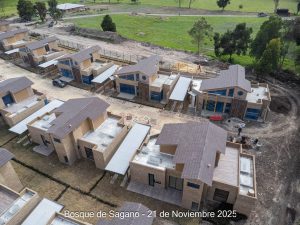 Avance 21 de noviembre 2025 - Bosque de Sagano