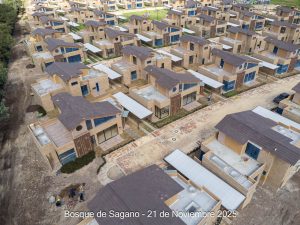 Avance 21 de noviembre 2025 - Bosque de Sagano