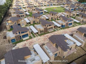 Avance 21 de noviembre 2025 - Bosque de Sagano