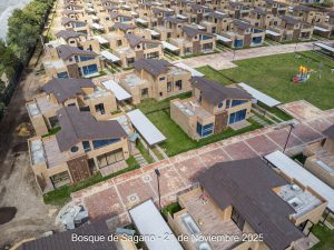 Avance 21 de noviembre 2025 - Bosque de Sagano