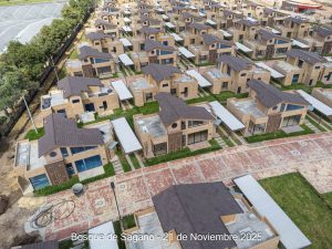 Avance 21 de noviembre 2025 - Bosque de Sagano