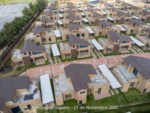 Avance 21 de noviembre 2025 - Bosque de Sagano