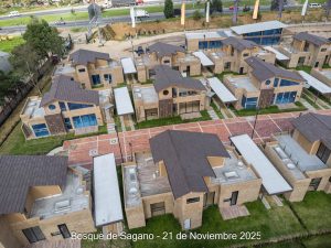 Avance 21 de noviembre 2025 - Bosque de Sagano