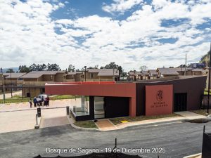 Avance 19 de diciembre 2025 - Bosque de Sagano