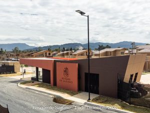 Avance 19 de diciembre 2025 - Bosque de Sagano