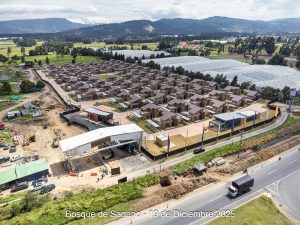 Avance 19 de diciembre 2025 - Bosque de Sagano