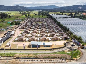 Avance 19 de diciembre 2025 - Bosque de Sagano