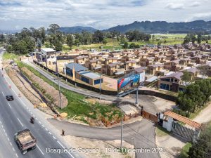 Avance 19 de diciembre 2025 - Bosque de Sagano
