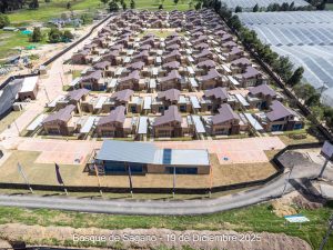 Avance 19 de diciembre 2025 - Bosque de Sagano