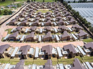 Avance 19 de diciembre 2025 - Bosque de Sagano