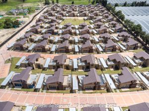 Avance 19 de diciembre 2025 - Bosque de Sagano