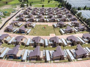 Avance 19 de diciembre 2025 - Bosque de Sagano