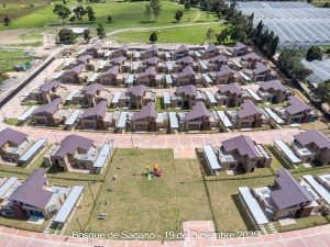 Avance 19 de diciembre 2025 - Bosque de Sagano