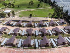 Avance 19 de diciembre 2025 - Bosque de Sagano