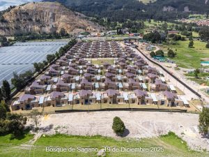 Avance 19 de diciembre 2025 - Bosque de Sagano