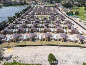 Avance 19 de diciembre 2025 - Bosque de Sagano