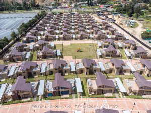 Avance 19 de diciembre 2025 - Bosque de Sagano